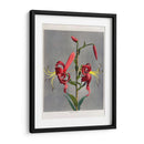 Lirio - VII - Ogawa Kazumasa | Cuadro decorativo de Canvas Lab