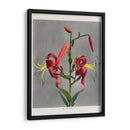 Lirio - VII - Ogawa Kazumasa | Cuadro decorativo de Canvas Lab