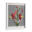 Lirio - VII - Ogawa Kazumasa | Cuadro decorativo de Canvas Lab