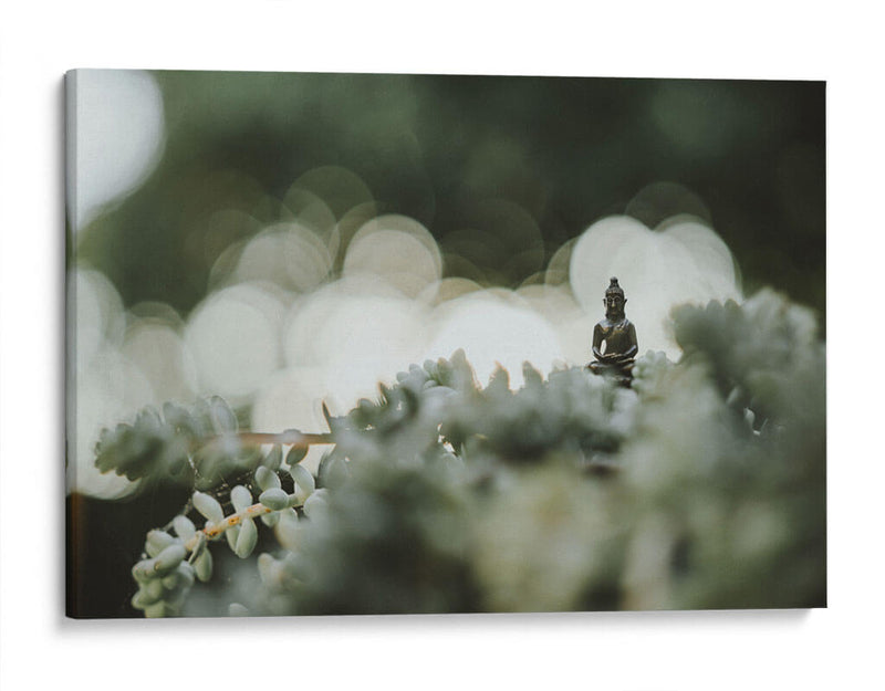 Buda sobre plantas | Cuadro decorativo de Canvas Lab
