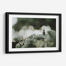 Buda sobre plantas | Cuadro decorativo de Canvas Lab