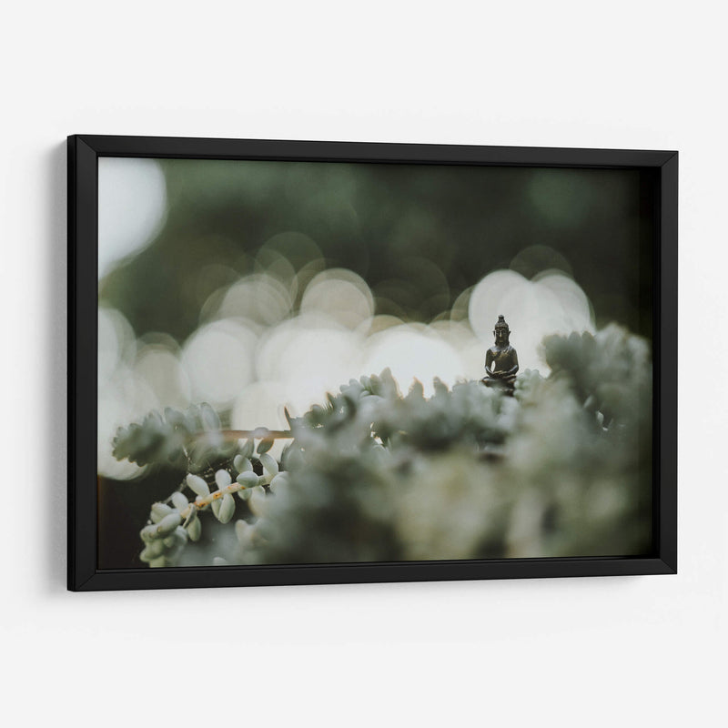 Buda sobre plantas | Cuadro decorativo de Canvas Lab