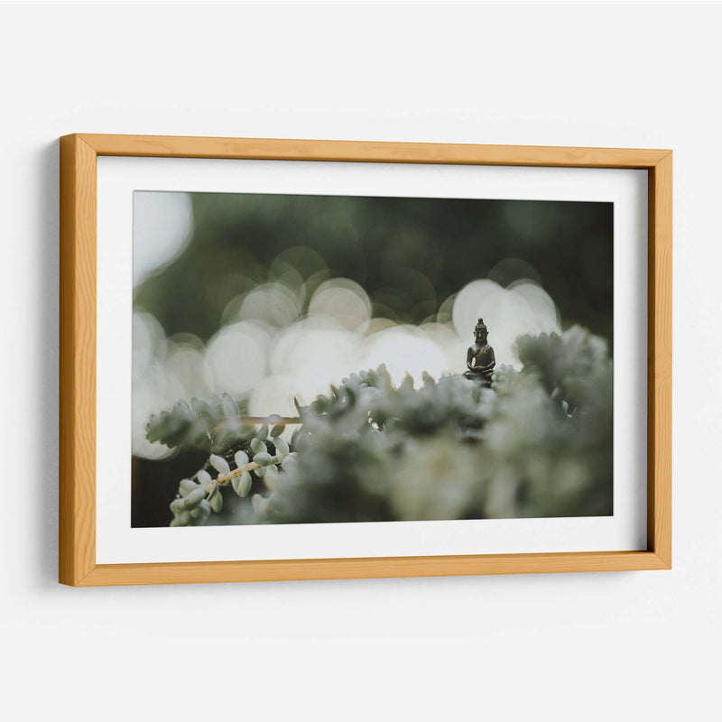 Buda sobre plantas | Cuadro decorativo de Canvas Lab