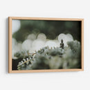 Buda sobre plantas | Cuadro decorativo de Canvas Lab