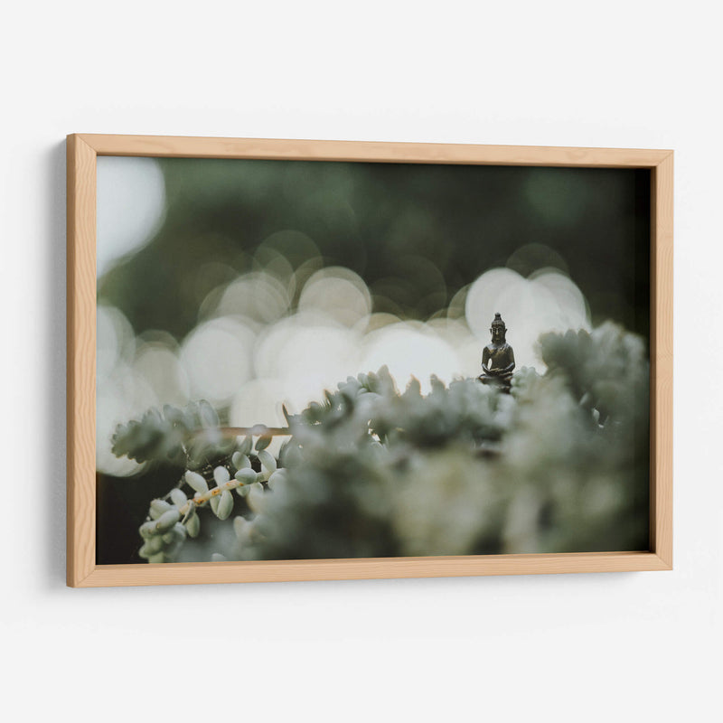 Buda sobre plantas | Cuadro decorativo de Canvas Lab