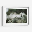 Buda sobre plantas | Cuadro decorativo de Canvas Lab