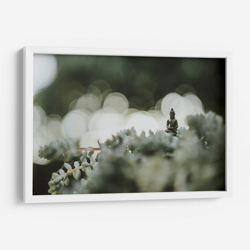 Buda sobre plantas | Cuadro decorativo de Canvas Lab
