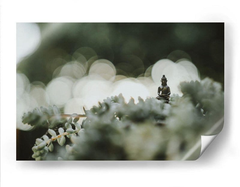 Buda sobre plantas | Cuadro decorativo de Canvas Lab