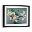 Lirio - VIII - Ogawa Kazumasa | Cuadro decorativo de Canvas Lab