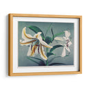 Lirio - VIII - Ogawa Kazumasa | Cuadro decorativo de Canvas Lab