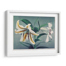 Lirio - VIII - Ogawa Kazumasa | Cuadro decorativo de Canvas Lab