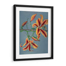 Lirio - IX - Ogawa Kazumasa | Cuadro decorativo de Canvas Lab