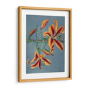 Lirio - IX - Ogawa Kazumasa | Cuadro decorativo de Canvas Lab