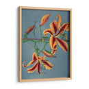 Lirio - IX - Ogawa Kazumasa | Cuadro decorativo de Canvas Lab