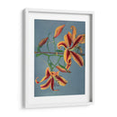 Lirio - IX - Ogawa Kazumasa | Cuadro decorativo de Canvas Lab