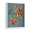 Lirio - IX - Ogawa Kazumasa | Cuadro decorativo de Canvas Lab