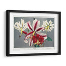 Lirio - X - Ogawa Kazumasa | Cuadro decorativo de Canvas Lab