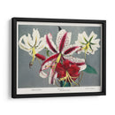 Lirio - X - Ogawa Kazumasa | Cuadro decorativo de Canvas Lab