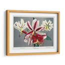 Lirio - X - Ogawa Kazumasa | Cuadro decorativo de Canvas Lab