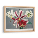 Lirio - X - Ogawa Kazumasa | Cuadro decorativo de Canvas Lab