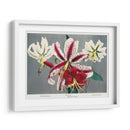 Lirio - X - Ogawa Kazumasa | Cuadro decorativo de Canvas Lab