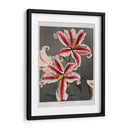 Lirio - XI - Ogawa Kazumasa | Cuadro decorativo de Canvas Lab