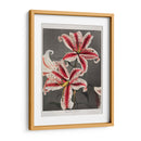 Lirio - XI - Ogawa Kazumasa | Cuadro decorativo de Canvas Lab