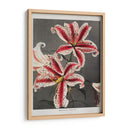 Lirio - XI - Ogawa Kazumasa | Cuadro decorativo de Canvas Lab