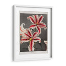 Lirio - XI - Ogawa Kazumasa | Cuadro decorativo de Canvas Lab