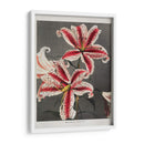 Lirio - XI - Ogawa Kazumasa | Cuadro decorativo de Canvas Lab