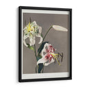 Lirio - XIII - Ogawa Kazumasa | Cuadro decorativo de Canvas Lab