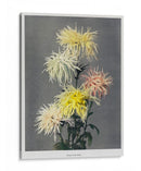 Nami-chi-dori - Ogawa Kazumasa | Cuadro decorativo de Canvas Lab