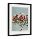 Peonía árbol - I - Ogawa Kazumasa | Cuadro decorativo de Canvas Lab