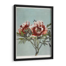 Peonía árbol - I - Ogawa Kazumasa | Cuadro decorativo de Canvas Lab