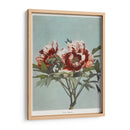 Peonía árbol - I - Ogawa Kazumasa | Cuadro decorativo de Canvas Lab