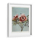 Peonía árbol - I - Ogawa Kazumasa | Cuadro decorativo de Canvas Lab