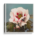Peonía árbol - II - Ogawa Kazumasa | Cuadro decorativo de Canvas Lab