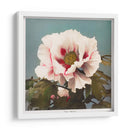 Peonía árbol - II - Ogawa Kazumasa | Cuadro decorativo de Canvas Lab