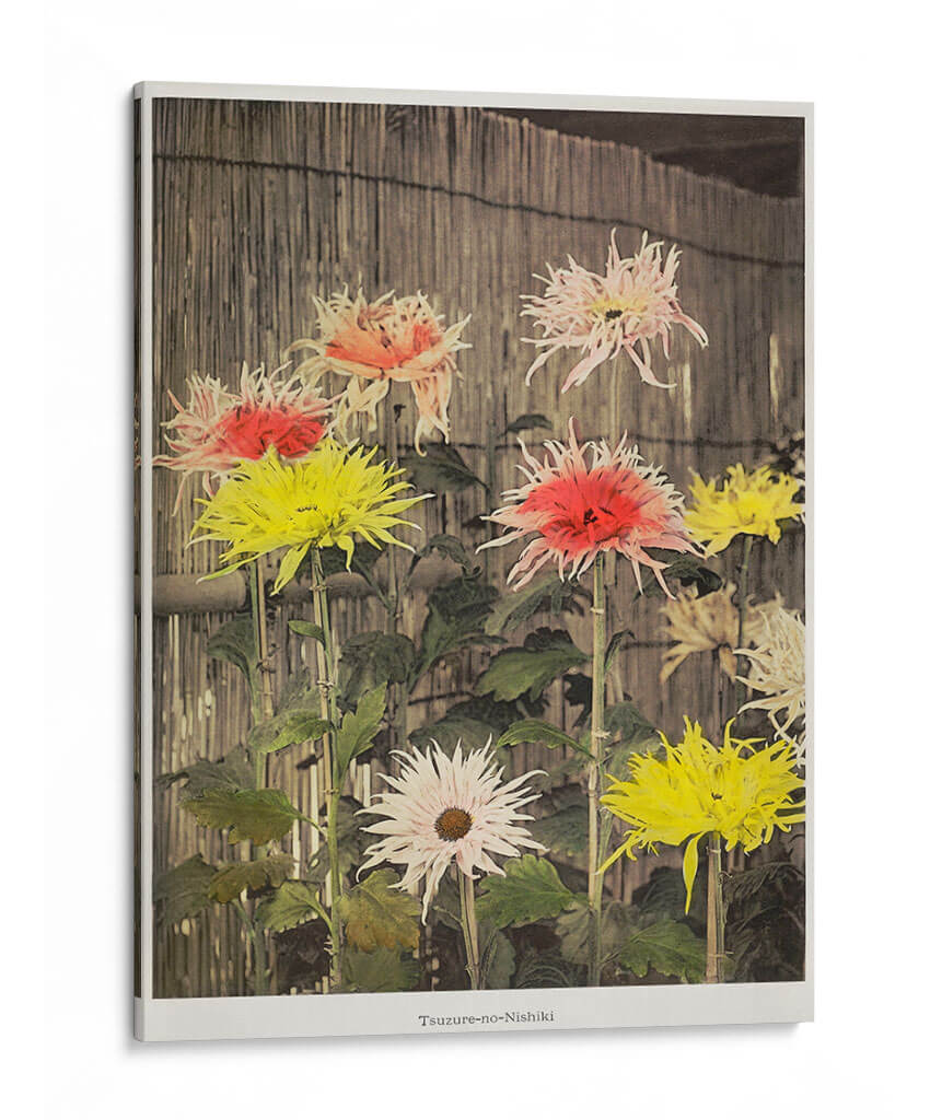 Tsuzure-no-Nishiki - Ogawa Kazumasa | Cuadro decorativo de Canvas Lab