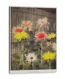 Tsuzure-no-Nishiki - Ogawa Kazumasa | Cuadro decorativo de Canvas Lab