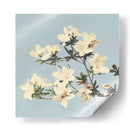 Azaleas japonesas vintage - Ogawa Kazumasa | Cuadro decorativo de Canvas Lab