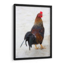 GALLO CALLEJERO - Ángel Barraza Ramírez | Cuadro decorativo de Canvas Lab