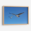 GAVIOTAS - Ángel Barraza Ramírez | Cuadro decorativo de Canvas Lab