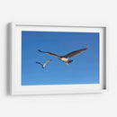 GAVIOTAS - Ángel Barraza Ramírez | Cuadro decorativo de Canvas Lab