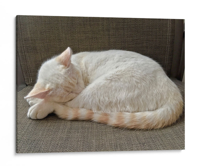 JACK  - Ángel Barraza Ramírez | Cuadro decorativo de Canvas Lab