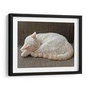 JACK  - Ángel Barraza Ramírez | Cuadro decorativo de Canvas Lab