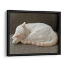 JACK  - Ángel Barraza Ramírez | Cuadro decorativo de Canvas Lab