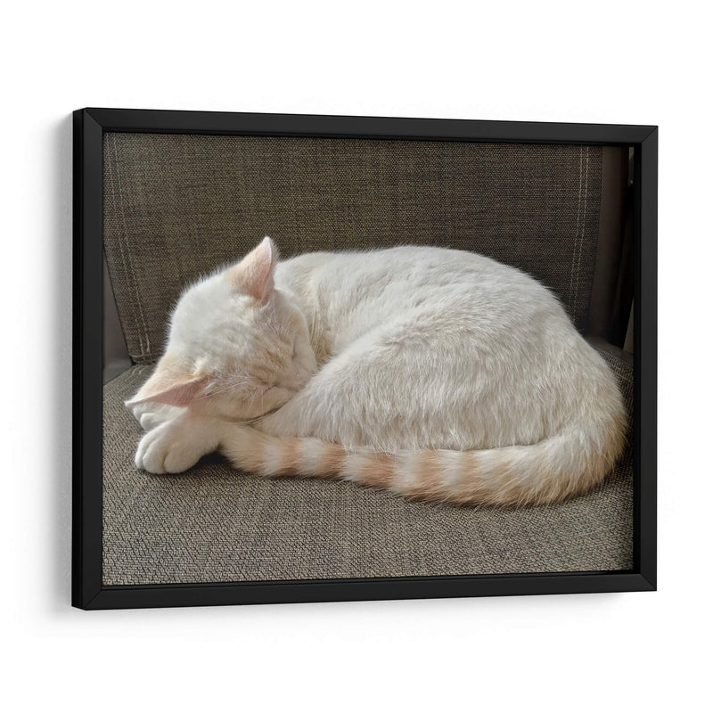 JACK  - Ángel Barraza Ramírez | Cuadro decorativo de Canvas Lab