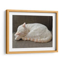 JACK  - Ángel Barraza Ramírez | Cuadro decorativo de Canvas Lab