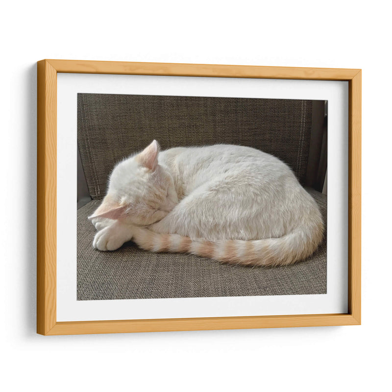 JACK  - Ángel Barraza Ramírez | Cuadro decorativo de Canvas Lab